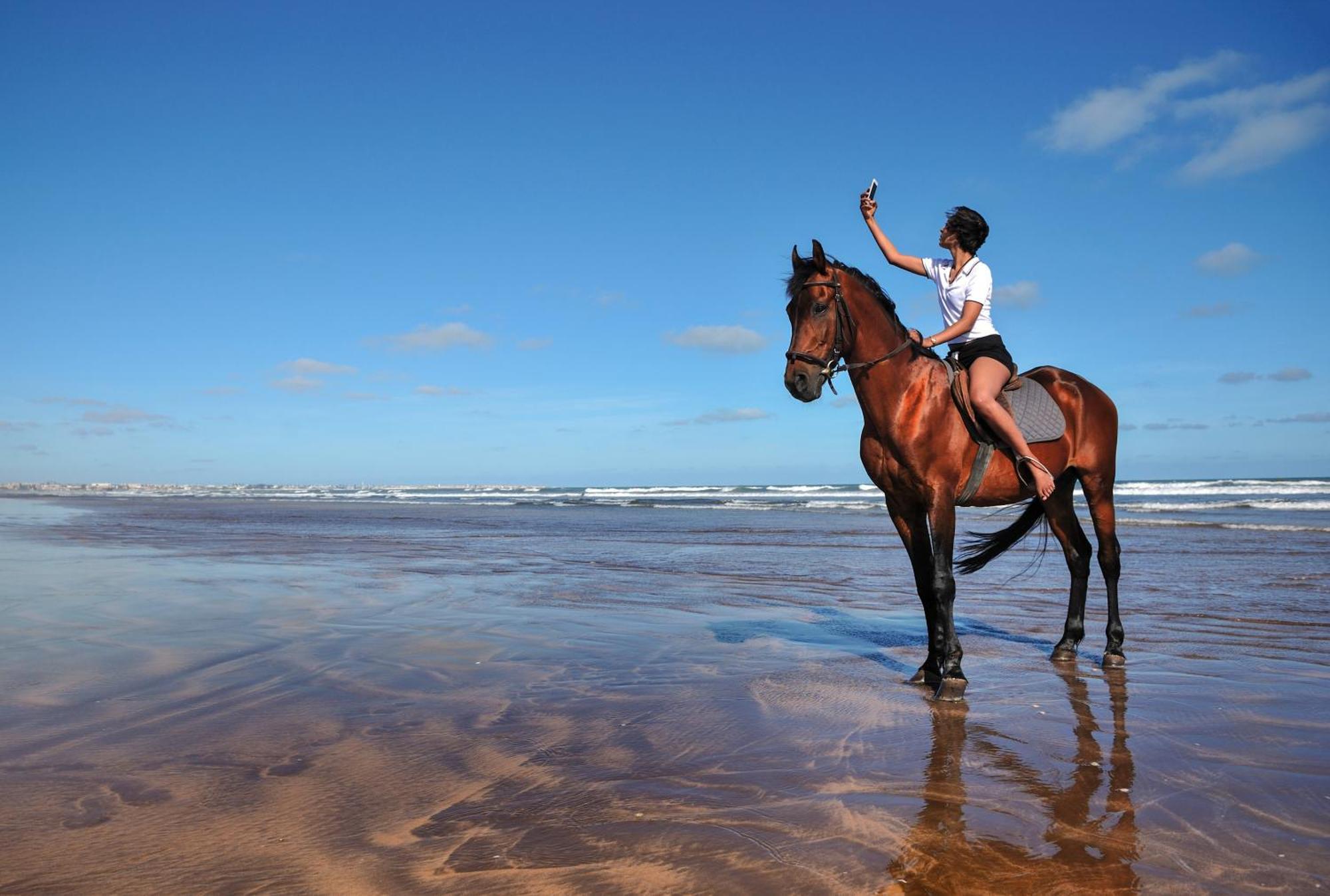 Pullman Mazagan Royal Golf & Spa El Jadida Exteriör bild A horse on the beach